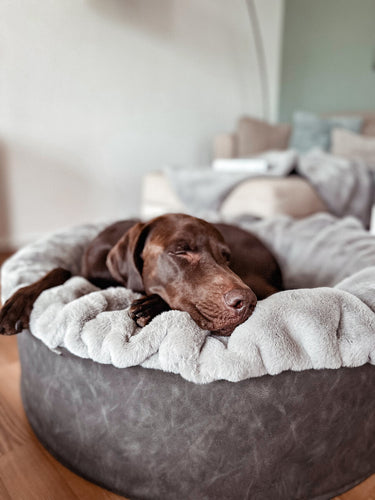 Buddelnest Hundebett Kharlo-steingrau