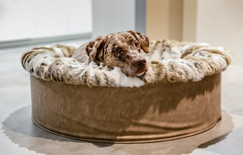 Buddelnest Hundebett Luchs