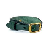 Laden Sie das Bild in den Galerie-Viewer, Lederhalsband Galant Green für Hunde