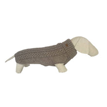 Laden Sie das Bild in den Galerie-Viewer, Hundepullover Freddie Camel