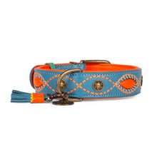 Laden Sie das Bild in den Galerie-Viewer, DWAM Hundehalsband Jones Blaues