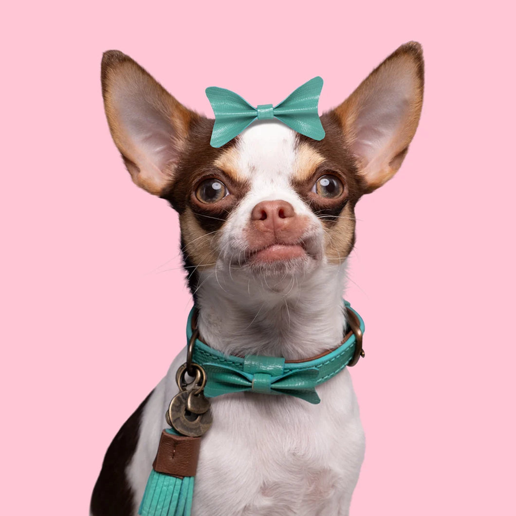 DWAM Hundehalsband Boomer