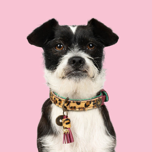 Hundehalsband Lou Lou