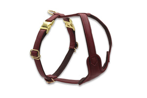 Leder-Hundegeschirr  Burgundy