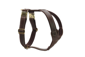 Leder-Hundegeschirr Old English dunkelbraun