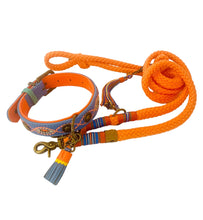 Laden Sie das Bild in den Galerie-Viewer, Hundeleine Seil orange-blau