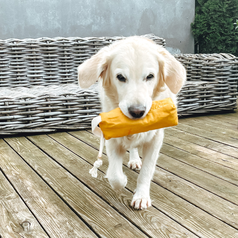 Futter Dummy aus Bio-Canvas 