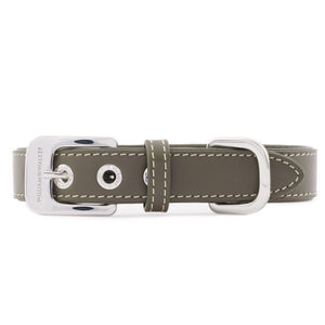 Hundehalsband Forest Silber