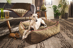 CLASSIC Hundebett - OXFORD Olive