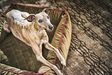 Laden Sie das Bild in den Galerie-Viewer, CLASSIC Hundebett - OXFORD Olive