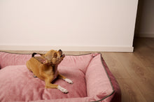 Laden Sie das Bild in den Galerie-Viewer, CLASSIC Hundebett - GLAM Rosé