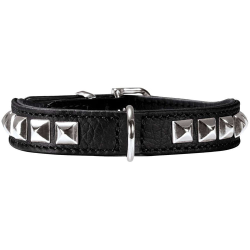 Halsband Rocky Petit schwarz