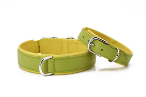 AMICI - Stilvolles Nappa-Halsband für modebewusste Hundefreunde Lemon