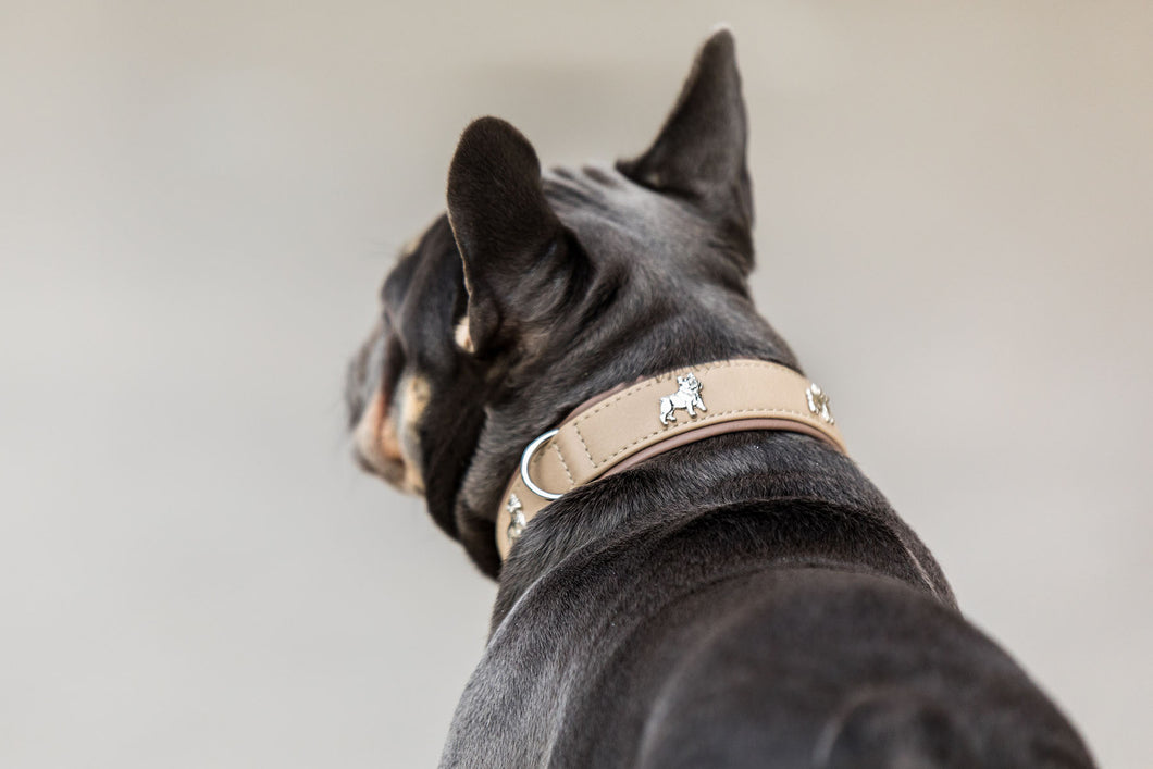 Halsband Französische Bulldogge