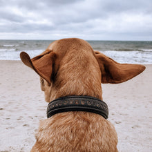 Laden Sie das Bild in den Galerie-Viewer, Halsband &quot;Diamonds&quot; - Coffee