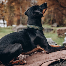 Laden Sie das Bild in den Galerie-Viewer, Halsband &quot;Diamonds&quot; - Forest Green