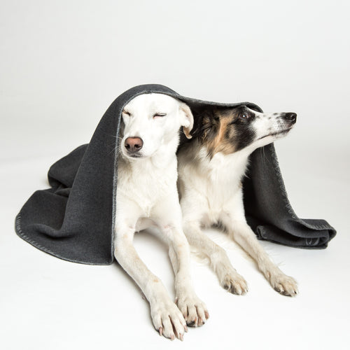 Cloud7 Hundedecke Soft Dark Grey