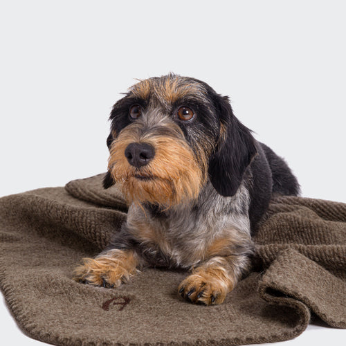 Cloud7 Hundedecke Mohair Trüffel