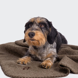 Cloud7 Hundedecke Mohair Trüffel
