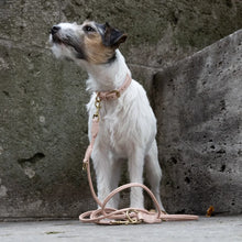 Laden Sie das Bild in den Galerie-Viewer, LEINE “CONNECTINI”, CHINTZ ROSÉ