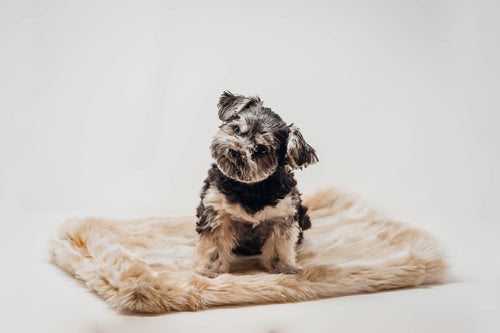 Felldecke Chinchilla beige