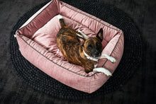 Laden Sie das Bild in den Galerie-Viewer, CLASSIC Hundebett - GLAM Rosé