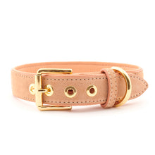 Laden Sie das Bild in den Galerie-Viewer, Leder Halsband Coral