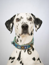 Laden Sie das Bild in den Galerie-Viewer, DWAM Hundehalsband Boho Blau