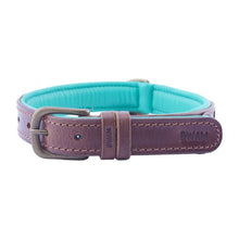 Laden Sie das Bild in den Galerie-Viewer, DWAM Hundehalsband Boho Blau
