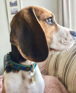 DWAM Hundehalsband Boho Blau