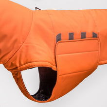 Laden Sie das Bild in den Galerie-Viewer, Cloud7 Hundemantel Yukon Neon Orange