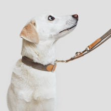 Laden Sie das Bild in den Galerie-Viewer, Cloud7 Hundehalsband Tivoli Greige
