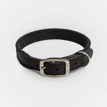 Laden Sie das Bild in den Galerie-Viewer, Cloud7 Hundehalsband Tivoli Black