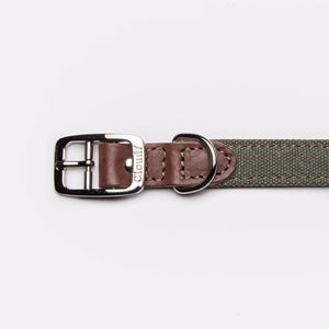 Cloud7 Hundehalsband Tivoli Olive