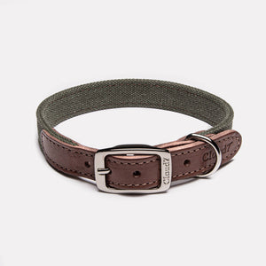 Cloud7 Hundehalsband Tivoli Olive