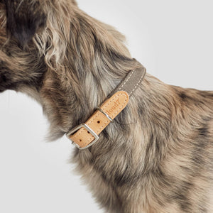 Cloud7 Hundehalsband Tivoli Greige