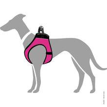 Laden Sie das Bild in den Galerie-Viewer, Geschirr Hilo Soft Comfort pink
