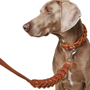 Führleine Solid Education Chain cognac