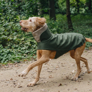 Cloud7 Hundemantel Brooklyn Flanell Fern Green