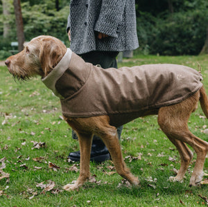 Cloud7 Hundemantel Brooklyn Flanell Hazel