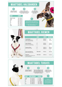 Hundegeschirr Boho Juan blue